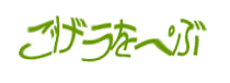 認証画像